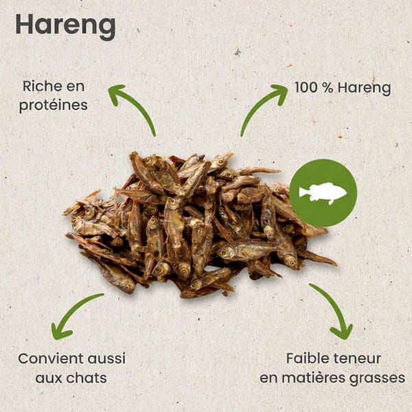 Harengs S&eacute;ch&eacute;s &ndash; 500g