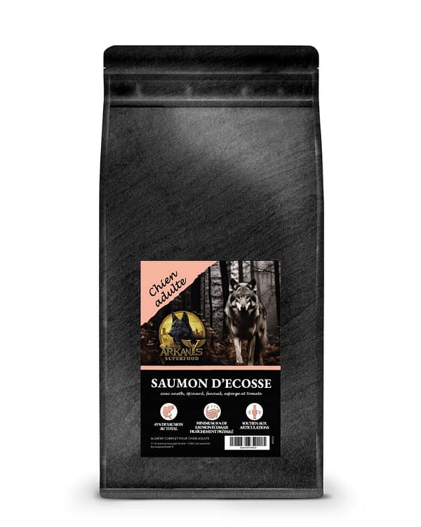 Croquettes Superfood 65 &ndash; Saumon d&rsquo;&Eacute;cosse avec L&eacute;gumes et Fruits &ndash; Chien Adulte