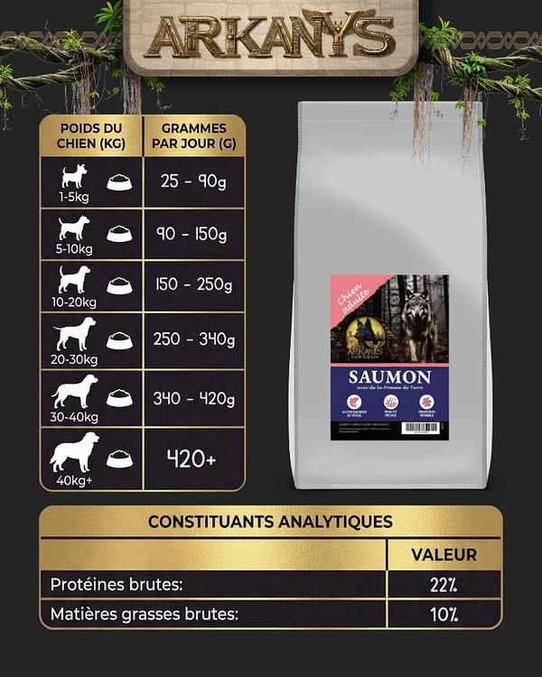 Croquettes Low Grain &ndash; Saumon avec de la Pomme de Terre &ndash; Chien Adulte