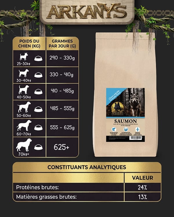 Croquettes Sans C&eacute;r&eacute;ales &ndash; Saumon & Truite avec Patate Douce et Asperge &ndash; Chien Adulte Grande Race